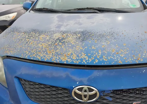 2010 Toyota Corolla S z USA, uszkodzony, nr VIN 1NXBU4EE4AZ319352